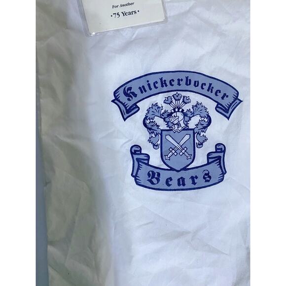 Knickerbocker Bears Teddy Bear Plush With Bear Care Guide, Brush and Bag 15" - Picture 12 of 13